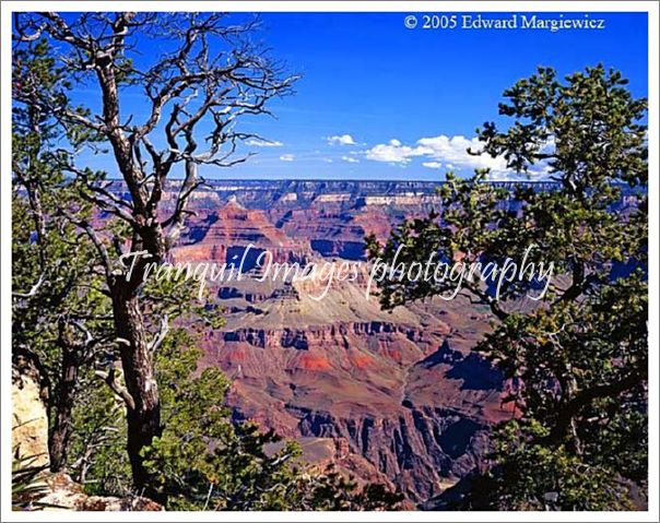 450428---Grand Canyon view 3